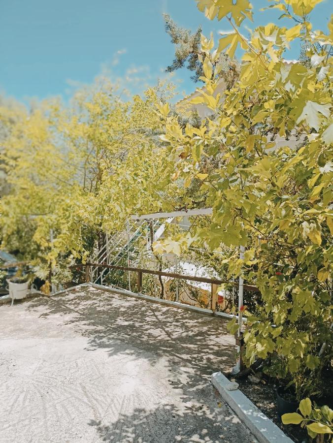 Heras Garden Vasilikí Exterior photo